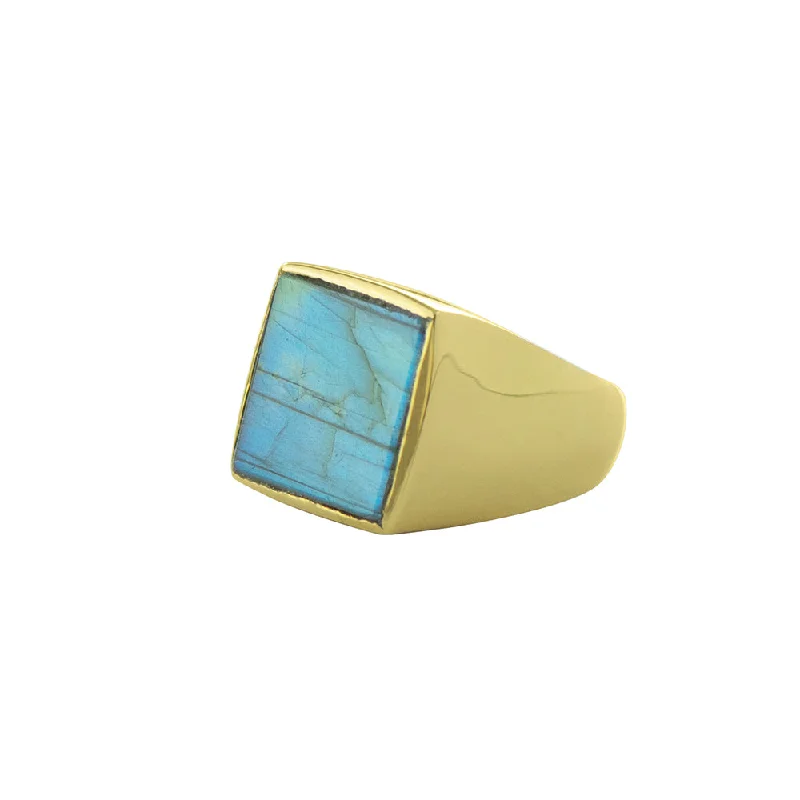 women’s delicate engagement rings-Labradorite Window Ring in Gold